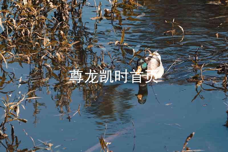 尊龙凯时首页